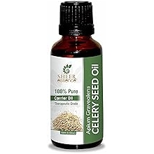 CELERY SEED OIL 100% Pure Undiluted Natural Uncut Therapeutic Grade Cold Pressed Carrier Oils For Skin, Hair And Aromatherapy 500ML