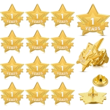 12 Keping Tahun Pin Ganjaran Perkhidmatan Pin enamel bintang Pin Anugerah Tahun Perkhidmatan Pin Lapel Untuk Pekerja Berdiri Lama Sukarelawan Pasangan ulang tahun 1 Tahun