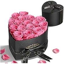 16 Preserved Flowers Rose Birthday Gifts for Women Her Mom Wife Girlfriend Grandma on Valentines Mothers Day Christmas Anniversary Romantic(Pink)