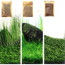 3 نباتات حوض السمك S.e.e.d مجموعة ، ليست اصطناعية ، استبدال ديكور خزان الأسماك للراتنج أو العشب البلاستيكي .0.36oz Tiny0.36oz Long0.36oz Short 42qwe