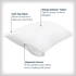 AllerEase Maximum Pillow Cover Protector, Standard/Queen - Zippered, and Bedbug Barrier (2 Count)