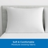 AllerEase Maximum Pillow Cover Protector, Standard/Queen - Zippered, and Bedbug Barrier (2 Count)