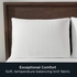 AllerEase Platinum Pillow Cover Protector, Standard/Queen - Zippered, Bedbug Barrier (2 Count)