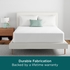 AllerEase CleanBoost Plush Knit Mattress Cover Protector, Twin - Fitted, w/ Straps, Waterproof