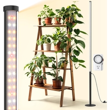 Barrina Standing Grow Light with Timer, 42W, 169 LEDs, Full Spectrum Grow Light for Indoor, Vertical Light, Wide Coverage, 4FT to 5.6FT Height with Foot Switch, Ideal for Flowering and Tall Plants