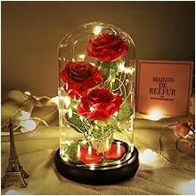 Beauty and The Beast Rose, Classic Red Rose with LED Lights and Falling Petals, Gifts for Women, Birthday Gifts for Women, Light Up Rose in Glass Dome, Valentine's Day Gifts for her