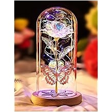 Valentines Day Rose Gifts for Her Women Mom, Galaxy Glass Rose Forever Preserved Flowers for Delivery Prime Rose in Glass Dome Valentine's Day Flowers Gift for Wife Girlfriend Daughter Anniversary