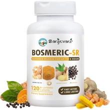 Joint Support Supplement, Potent Blend of Turmeric Curcumin with Black Pepper, Boswellia Extract &amp; Ginger, Fast-Acting Joint Supplement, 8-Hour Sustained Release, 120 Caplets - Sanjevani