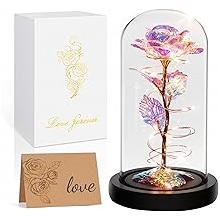 Childom Valentines Day Rose Gifts for Her,Birthday Gifts for Women Mom Mothers Day,Flowers for Delivery Prime,Colorful Light Up Rose in A Glass Dome,Anniversary Valentines Roses Gift for Wife Daughter