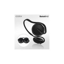 Earphones/Headphones