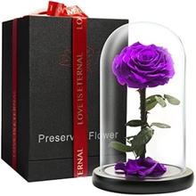 Forever Preserved Rose - Eternal Rose in Glass Dome - Beauty and The Beast Rose for Mom - Fresh Flowers for Delivery Prime (Purple, 9 Inch)