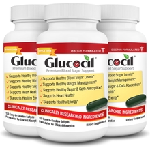 Glucocil &ndash; Premium Blood Sugar Support - Over 2 Million Bottles Sold - Supports All 3 Blood Sugar Essentials - Since 2008, with Berberine, Proprietary Mulberry Leaf, and More, 3-Pack 3-Month Supply