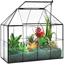 Large Glass Terrarium House Planter &ndash; Succulent Plant Terrarium House Shape Glass Greenhouse Terrarium with lid 9.8X7.9X5.9 NA