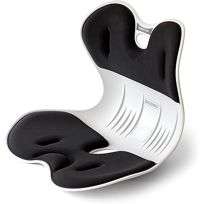 Lumbar Support Posture Corrector Chair for Men Large Portable Ergonomic Back Support Chair for Posture Correction and Lower Back Pain Relief