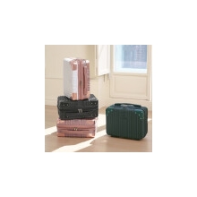 حقيبة أمتعة صغيرة/صندوق/سفر/مساعد/على متن الطائرة/TR0074