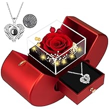 moshen Preserved Rose Gift Box with LED Lights, Red Floral Arrangement, Romantic Jewelry Display Case for Valentine's Day, Anniversary, Birthday (Red)