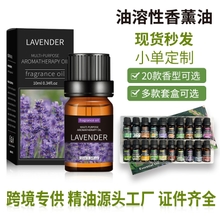 Oil-Soluble Deodorizing Aromatherapy Essential Oil 10ml Indoor Aromatherapy Machine Fragrance Long-Lasting Fragrance Massage Cross-Border Lavender