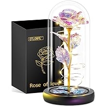 Otlonpe Preserved Forever Valentines Day Flower Gifts for Her, Glass Light Up Rose Gifts for Women Mom Grandma Girlfriend Wife Sister, Valentines Mothers Day Christmas Birthday Womens Gift (Colorful)