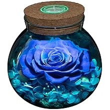 Preserved Real Roses with Colorful Mood Light Wishing Bottle, Eternal Rose，Never Withered Flowers, Table Decor,Christmas Anniversary Valentine's, Blue 4.3inch, 1pcs