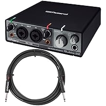 Roland RUBIX22 2-In 2-Out USB Audio Interface Bundle with Instrument Cable