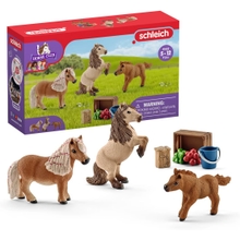 Schleich Horse Club 8-Piece Horse Toy for Girls and Boys Ages 5, Miniature Shetland Pony Family