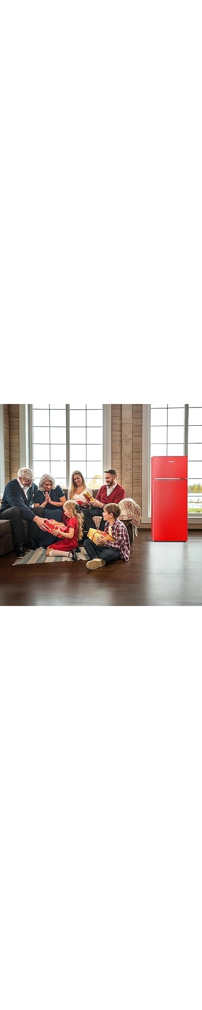 Upstreman 7.7 Cu.Ft. Refrigerator with Freezer, Double Door, Adjustable Thermostat, Large Capacity, Reversible Door Swing, Refrigerator for Apartment, Office, Dorm, Stainless (BD75) on Fridge.com