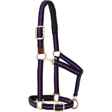 Weaver Leather Padded Breakaway Adjustable Chin &amp; Throat Snap Halter, 1 Average Horse or Yearling Draft